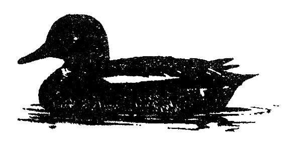 Enten-Apotheke Logo